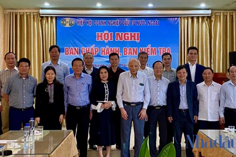 GS.TSKH Nguyễn Mại: 'Hiệp hội VAFIE cùng chung một khát vọng hùng cường'